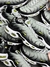 Tênis Nike Air Max Plus