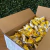 Paçoca Rolha Embrulhada Com 100 unidades 1,5Kg - Doces Leo na internet