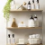 PLANTA COLGANTE SUCULENTA - comprar online