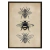 CUADRO INSECTOS
