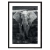 CUADRO ELEPHANT