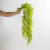 PLANTA COLGANTE HOJAS