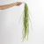 PLANTA COLGANTE SUCULENTA MEDIUM