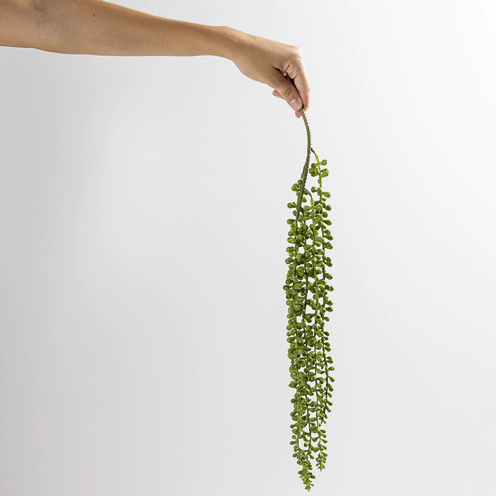 PLANTA COLGANTE MEDIUM - comprar online