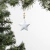 ADORNO DE NAVIDAD SET X2 ESTRELLAS BLANCO - comprar online