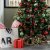 SET X6 BOLAS ROJAS 6 CM - tienda online