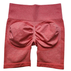 2 Calzas cortas Biker coral y azul COMBO - GINA IMPORTADOS 