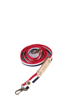 Correa Fija - buy online