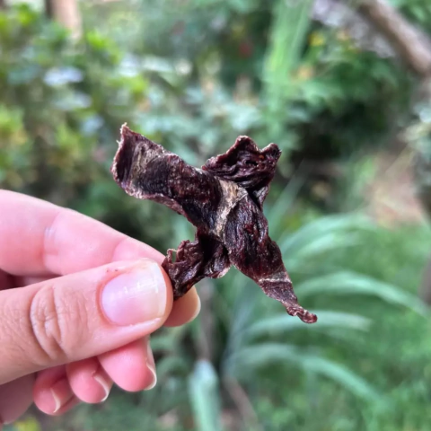 Coração Bovino 150g - Pet Naturau