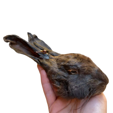 Cabeça de Coelho 1 un - Lecker