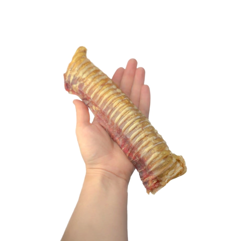 Play Roll (Traqueia e pulmão bovino) 1 unidade - LUV