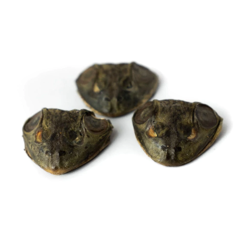 Cabeça de rã - 6 unidades - Lecker