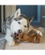 BENEBONE DENTAL CHEW BACON G (BB890300) na internet