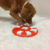 Nina Ottosson Dog Smart Plastic - comprar online