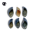Kit - 6 cascos de boi