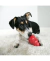 KONG CLASSIC X-SMALL PP (T4) - comprar online