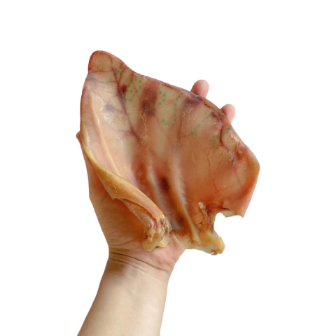 Orelha de Porco - 4un - LUV - comprar online