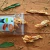 Filé de Frango Desidratado - 200g - Natural Pet Store