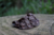 Rim Bovino 6 un - Lecker