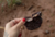 Rim Bovino 6 un - Lecker - comprar online