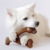 Imagem do Benebone Wishbone Bacon G