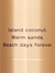 Victoria's Secret Body Splash Coconut Passion | Original 250ml