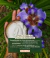 Banner de Natureza do Cabelo