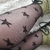 PantyMedia Estrellas - comprar online