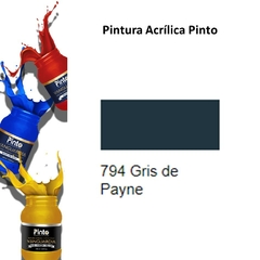 Pintura Acrílica Pinto - comprar en línea