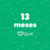 Vacinas 13 Meses - comprar online