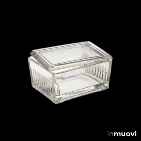 Cubeta de tinción horizontal Schieferdecker, 10 ranuras