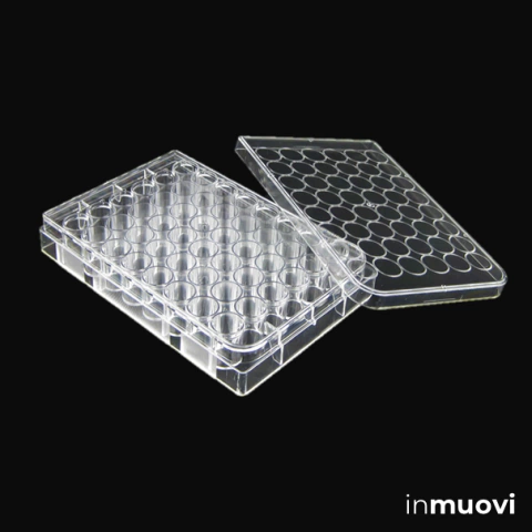 Placa cultivo 48-well, estéril, sin tratamiento de superficie