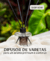 Carrossel 3