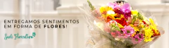 Banner da categoria Mix de Flores / Flores do Campo