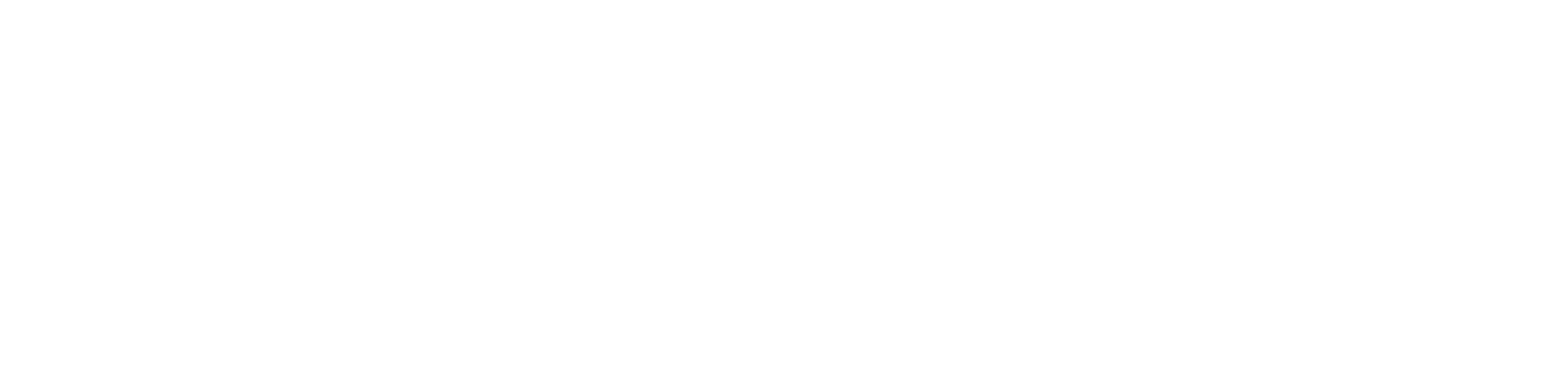 Sueli Floricultura