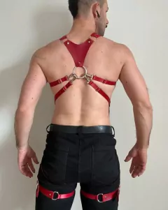 HARNESS ESTRELA - buy online