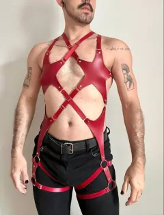 HARNESS ESTRELA