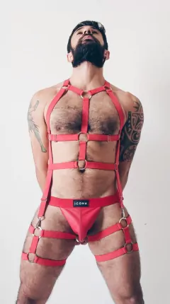 HARNESS EGO na internet