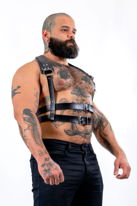 HARNESS KARMA - buy online