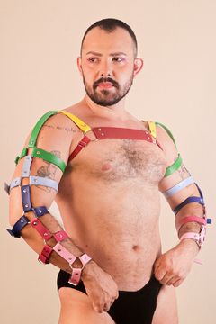 Harness Armx - comprar online