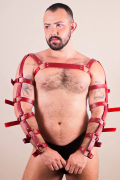 Harness Armx na internet