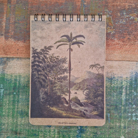 Caderneta Kraft Historia naturalis palmarum (von Martius) - comprar online