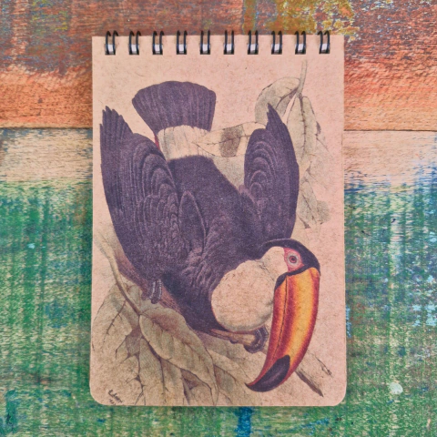 Caderneta Kraft Tucano 3 - comprar online