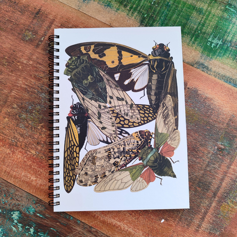 Caderno Cigarras