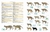 Imagem do Illustrated Checklist of the Mammals of the World (2 volumes)