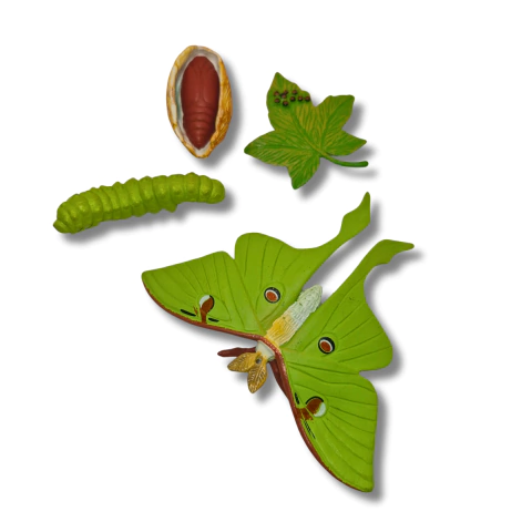 Réplica Metamorfose em Mariposas