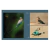 Handbook of the Birds of the World, Special Volume: New Species and Global Index