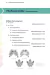 Field Guide to the Bats of the Amazon - Anolis Books | Livros  e Papelaria 