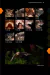 Field Guide to the Bats of the Amazon - comprar online