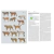 Handbook of the Mammals of the World – Volume 1 Carnivores - comprar online